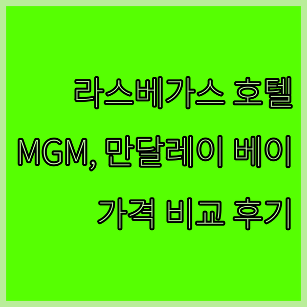 미국 라스베이거스 호텔 추천 MGM 
