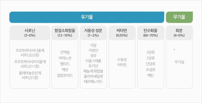 영양성분