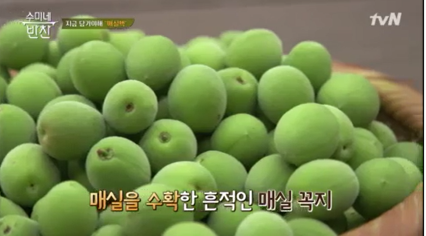  김수미 매실액 매실청 만들기 레시피 수미네반찬