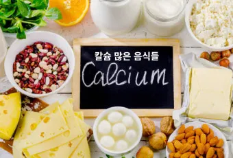 칼슘 영양제 종류 섭취시간 섭취방법_11