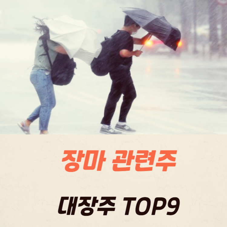 장마 관련주 대장주 테마주 수혜주 TOP9