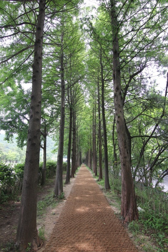  고흐의 길 신곡산 와우산