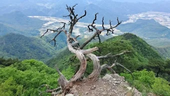 구병산 등산 최단 코스 완벽 가이드 충북 알프스 종주_19