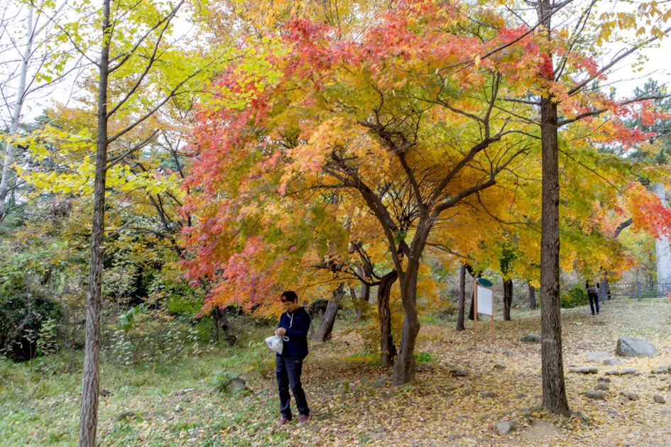 팔령 팔우회 2016 가을나들이 2 (2016-11-09) 92