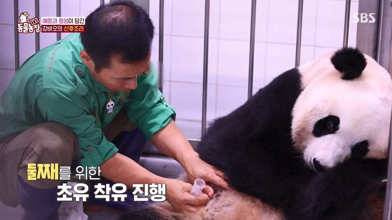 TV 동물농장.E1133.230814p-NEXT.mp4_20230813_171340.952.jpg