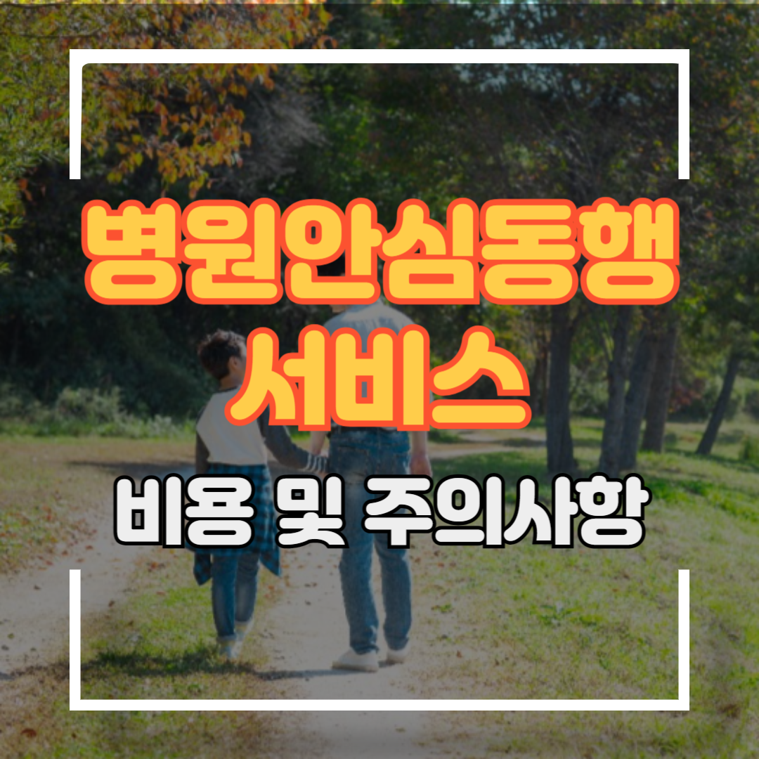 병원안심동행서비스