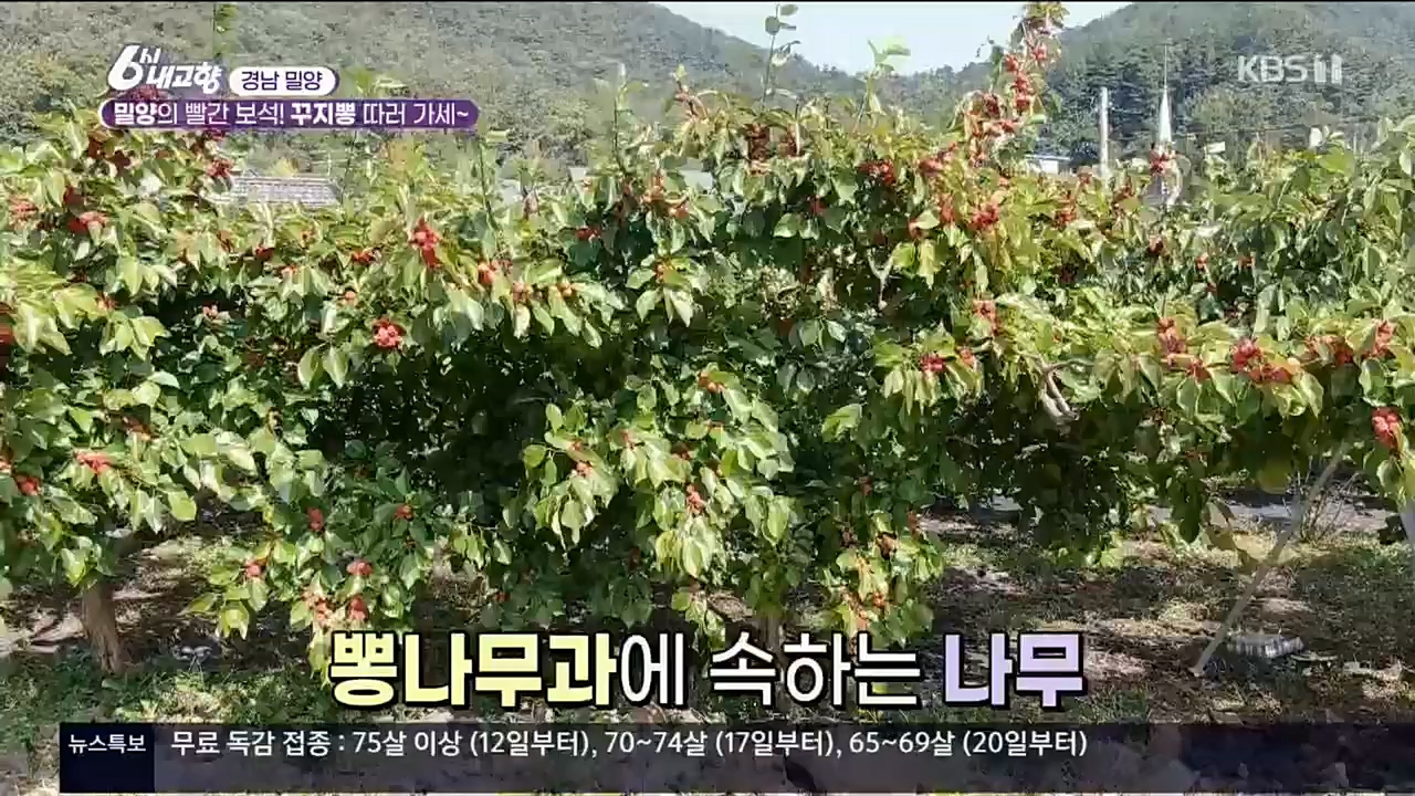 6시 내고향.E7640.221019p.H264-F1RST.mp4_20221020_170054.101.jpg