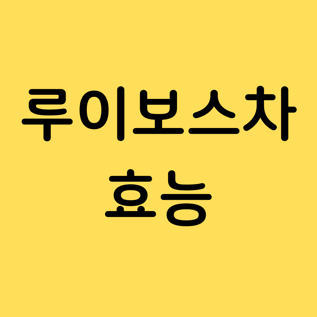  루이보스차 효능과 부작용 / 카페인 / 임산부 마셔도 될까?