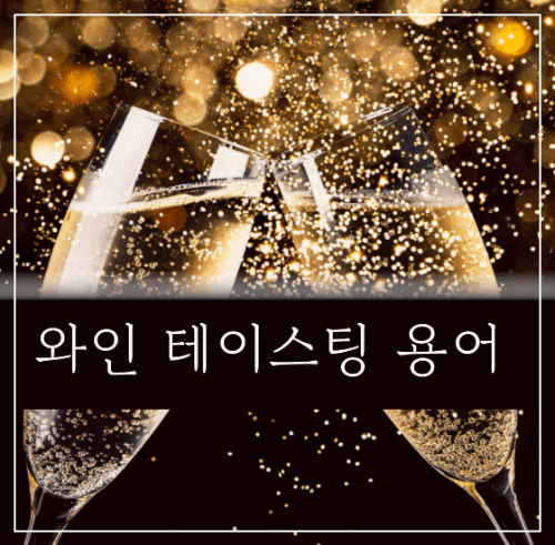 와인 테이스팅 용어