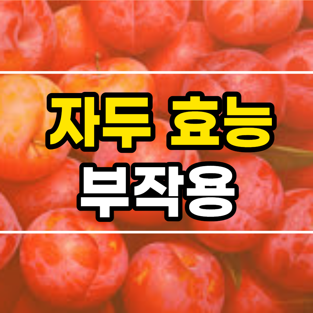  자두 효능 10가지 및 부작용