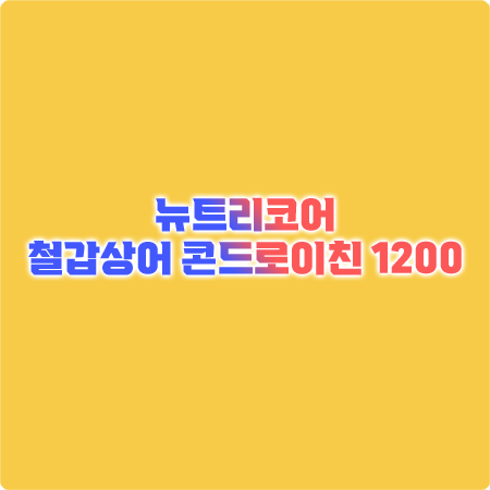  뉴트리코어 콘드로이친 효능&성분&먹는법&가격 총정리