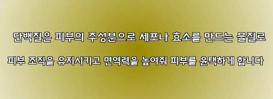  단백질은 피부의 주성분으로 세포나 효소를 만드는 물질로 피부 조직을 유지시키고 면역력을 높여줘 피부를 윤택하게 합니다