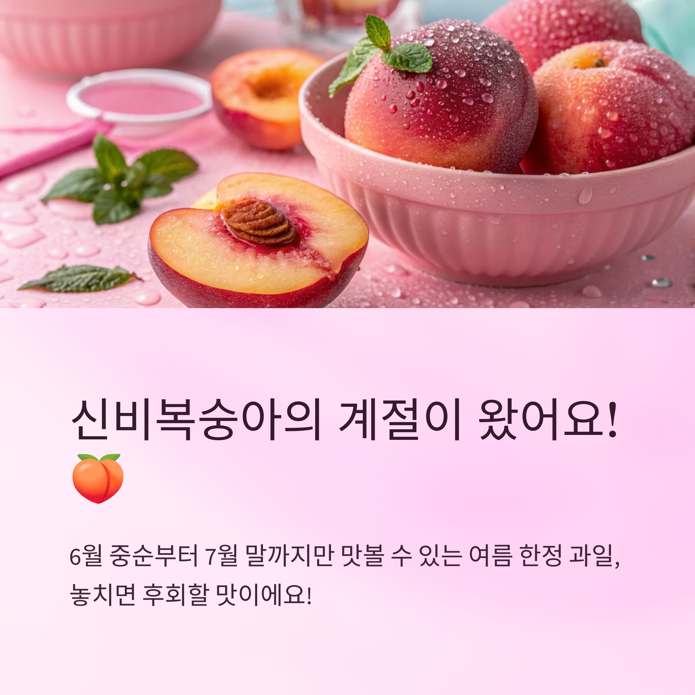 신비복숭아 제철 놓치지 않는 꿀팁