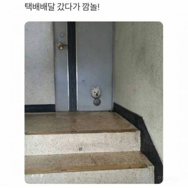  택배 아조씨 깜놀 할듯ㅋㅋㅋㅋㅋ