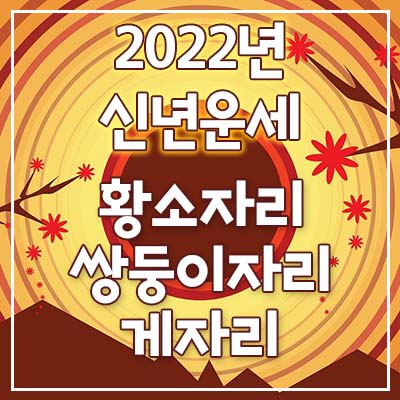  (황소자리, 쌍둥이자리, 게자리) 2022년 은하별의 별자리 신년운세