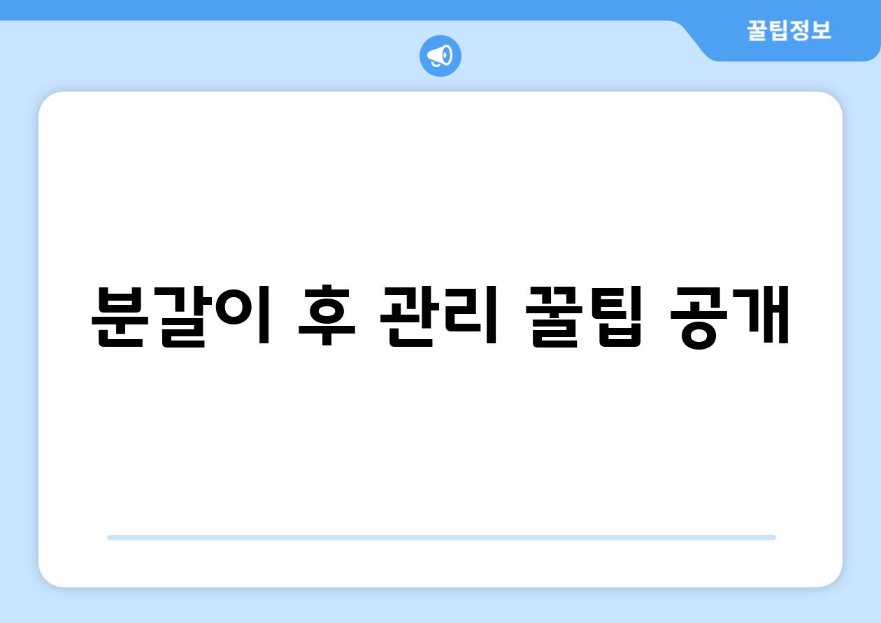 분갈이 후 관리 꿀팁 공개