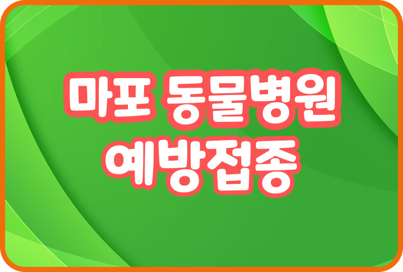  마포 동물병원 애견호텔 강아지 예방접종 반려묘 건강검진 슬개골