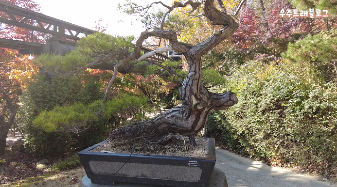 사진5
