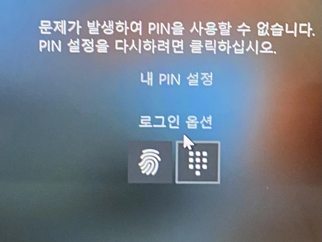 로그인 옵션