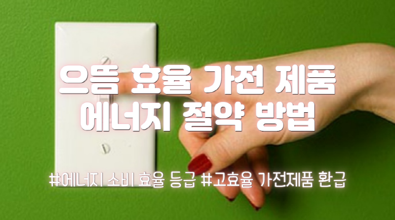  에너지 절약 방법 및 으뜸 효율 가전 제품 에너지 소비 효율 등급