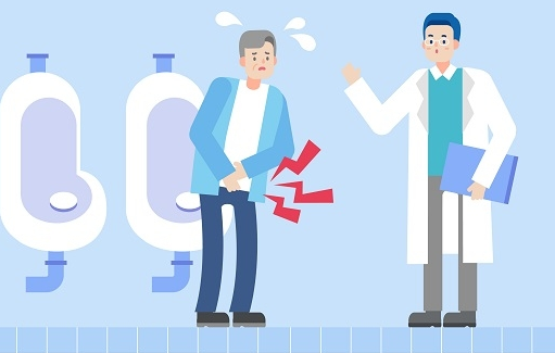  전립선 비대증 영양제 쏘팔메토 효과