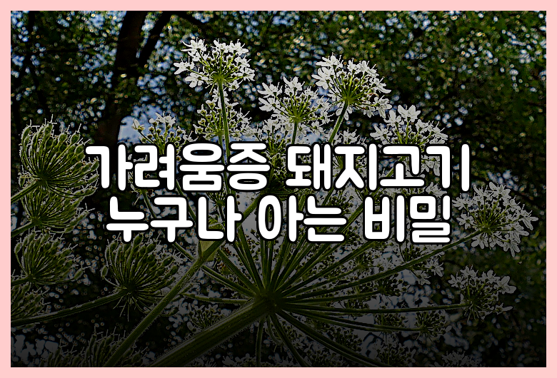 가려움증 돼지고기 누구나 아는 비밀