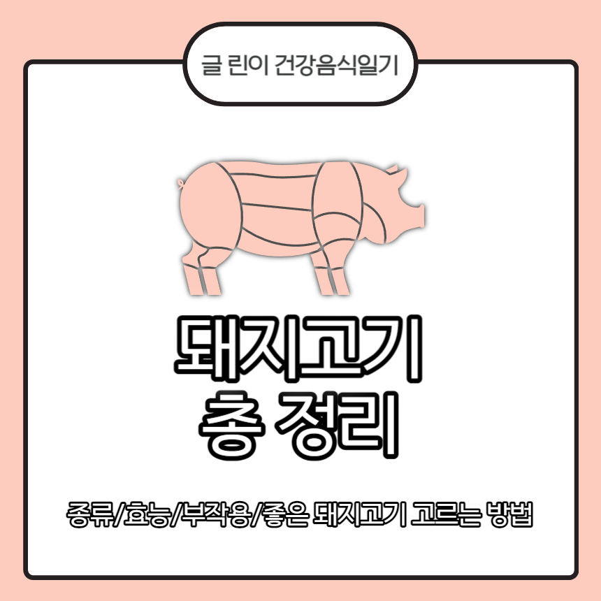 돼지고기
돼지고기 종류
돼지고기 효능
돼지고기 부작용
좋은 돼지고기 고르는 방법