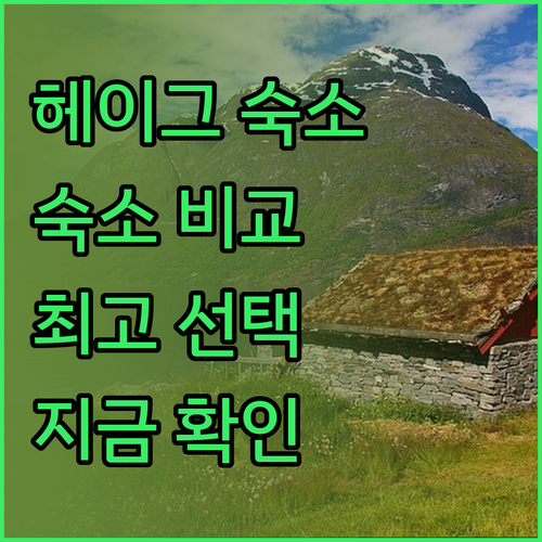 헤이그 숙소 고민? 스테이 앳 7, 