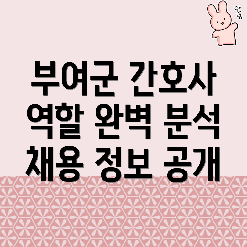 부여군 방문간호사