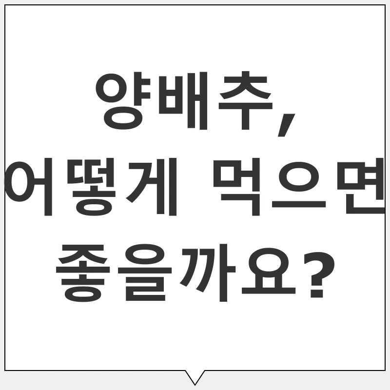 양배추 건강 효능_2