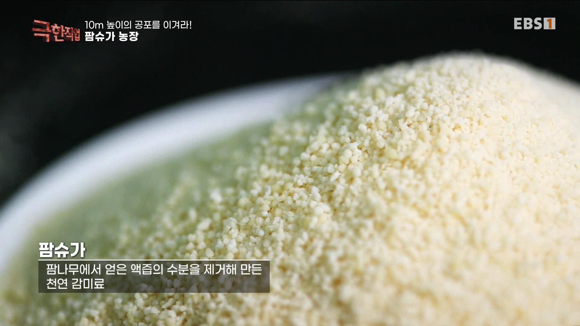 [극한 직업] 캄보디아 팜슈가 농장 230624.mp4_20230701_183054.641.jpg