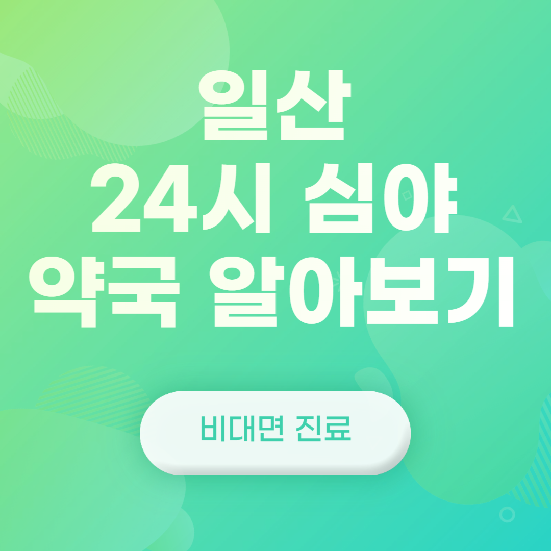 일산 24시 심야 약국 알아보기(feat. 비대면 진료&#44; 똑닥 예약)