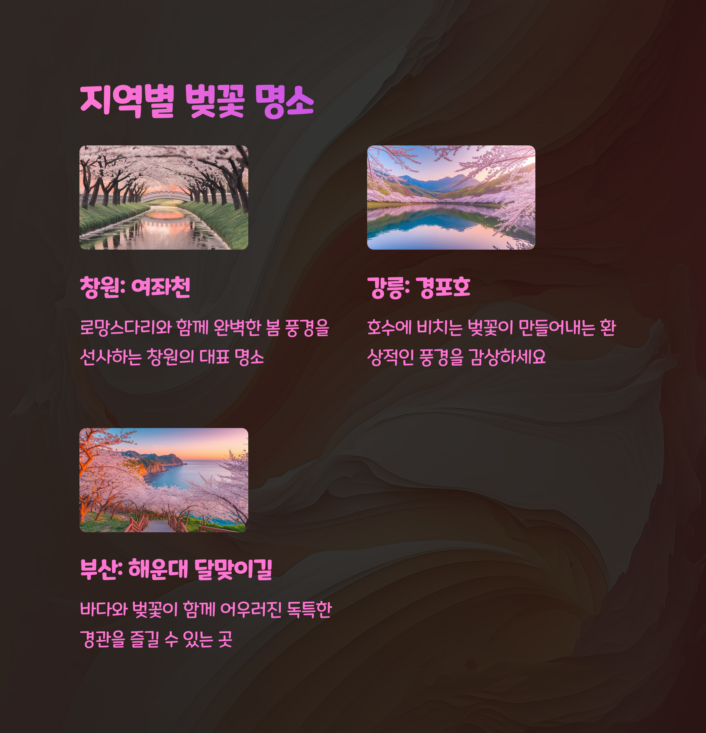2025년 한국 벚꽃 개화 및 만개 시점 총정리 (제주부터 서울까지)