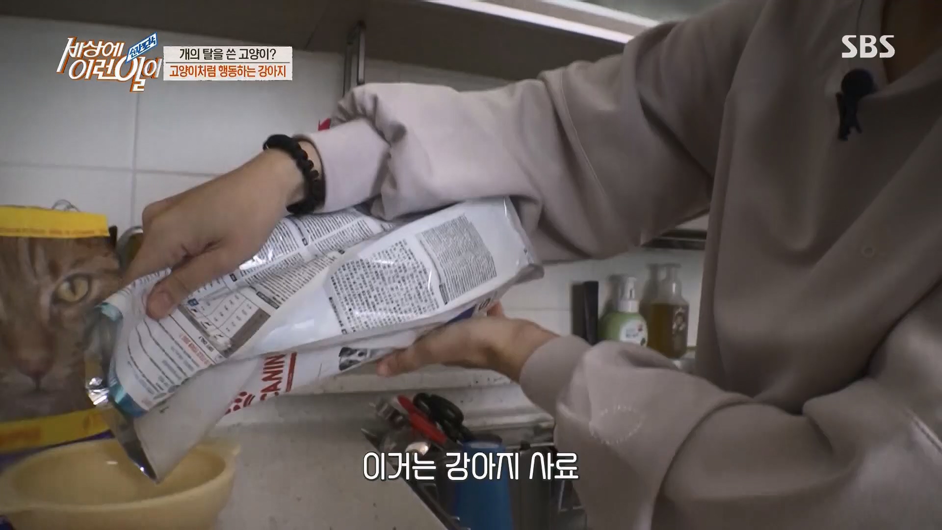 순간포착 세상에 이런일이.E1229.230509p.H264-F1RST.mp4_20230510_194443.718.jpg