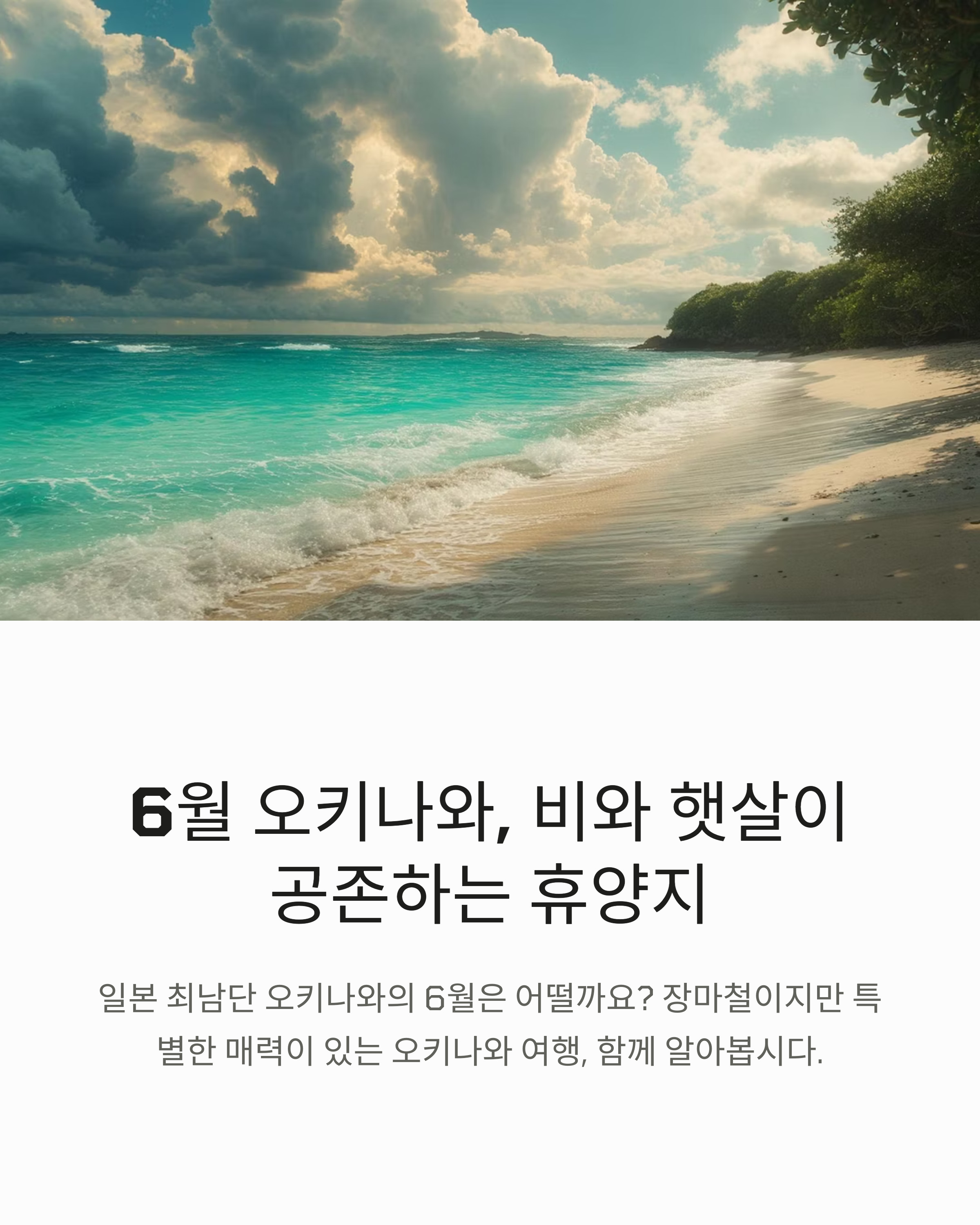 오키나와 사진