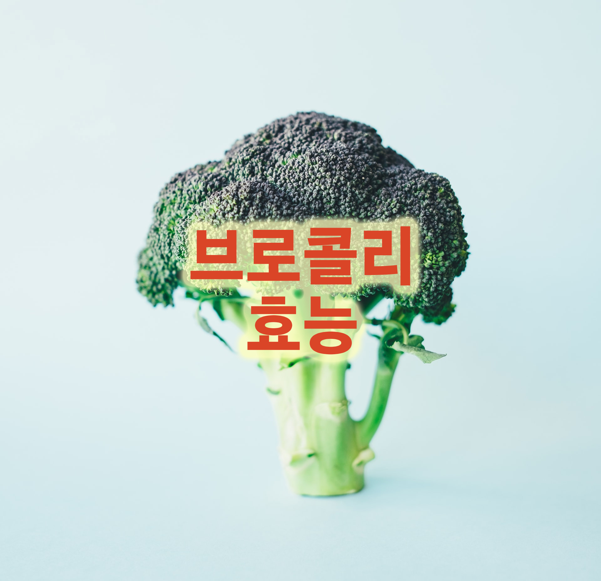  타임지 선정 10대 슈퍼푸드 브로콜리의 효능