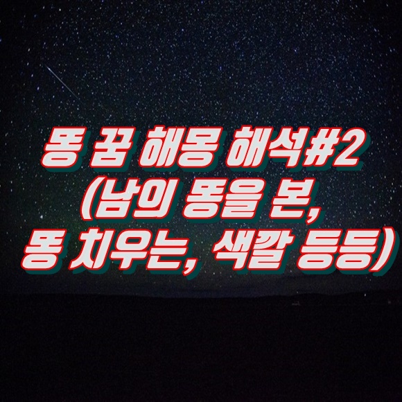  똥 꿈 해몽 해석#2(남의 똥을 본, 똥 치우는, 색깔 등등)