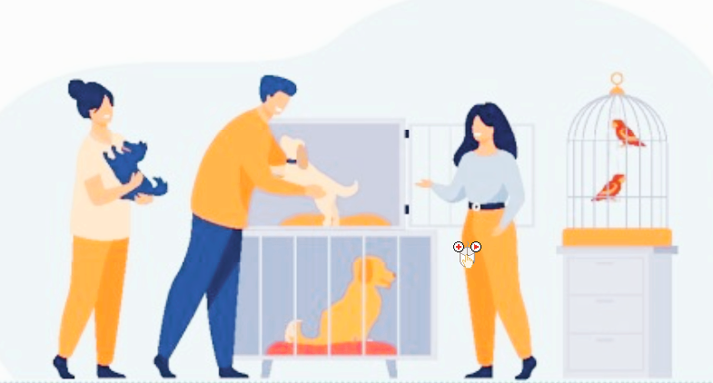  유기동물 입양비,  실외사육견 중성화수술 지원 받으세요