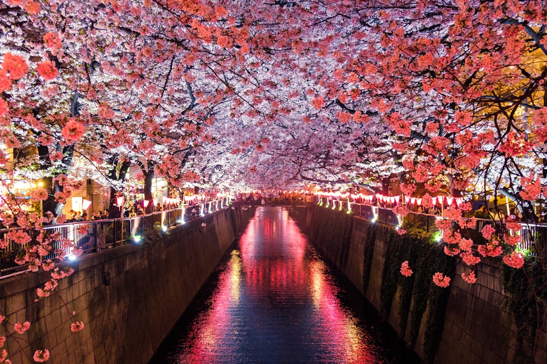 Japan