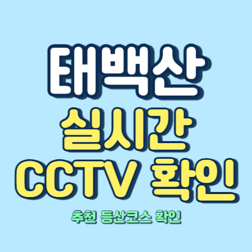 태백산-실시간-CCTV-확인-및-등산코스-안내