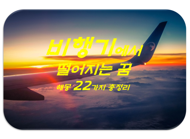  비행기에서 떨어지는 꿈 해몽 22가지 총정리