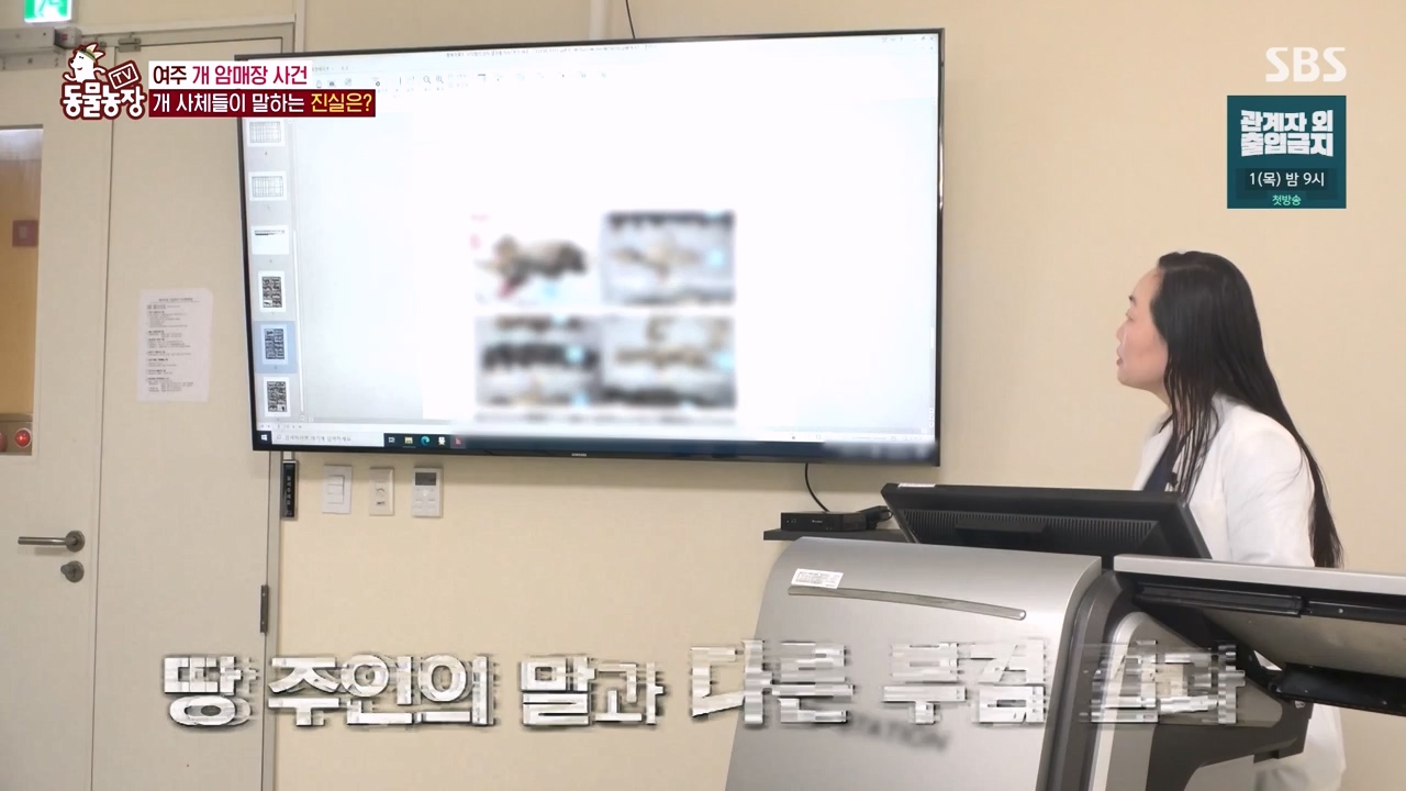 TV 동물농장.E1122.230529p-NEXT.mp4_20230528_170302.571.jpg
