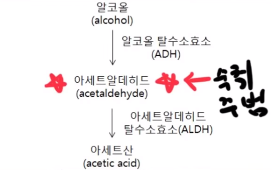  숙취약, 증상에 맞추어 복용하자. 술깨는약 추천.