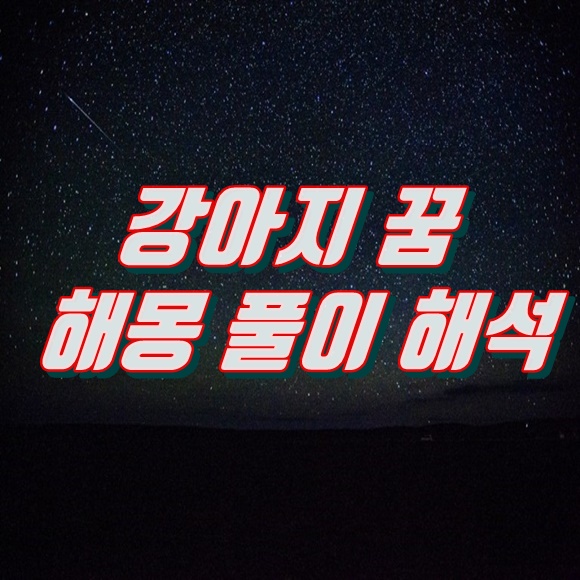  강아지 꿈 풀이 해몽 해석 (쓰담듬는, 안는 등등)