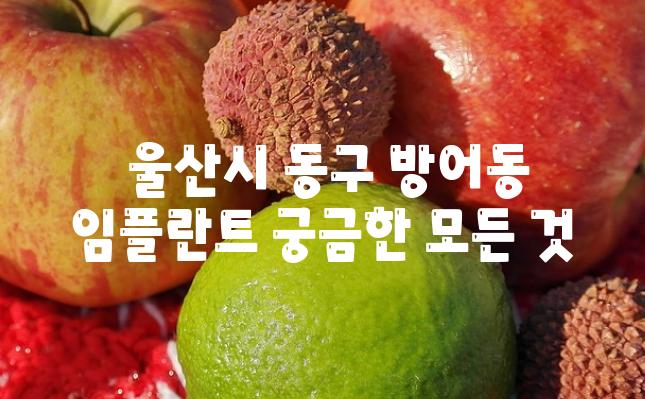  울산시 동구 방어동 임플란트 궁금한 모든 것