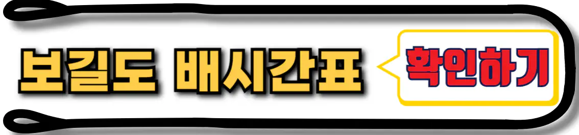 보길도 배시간 확인