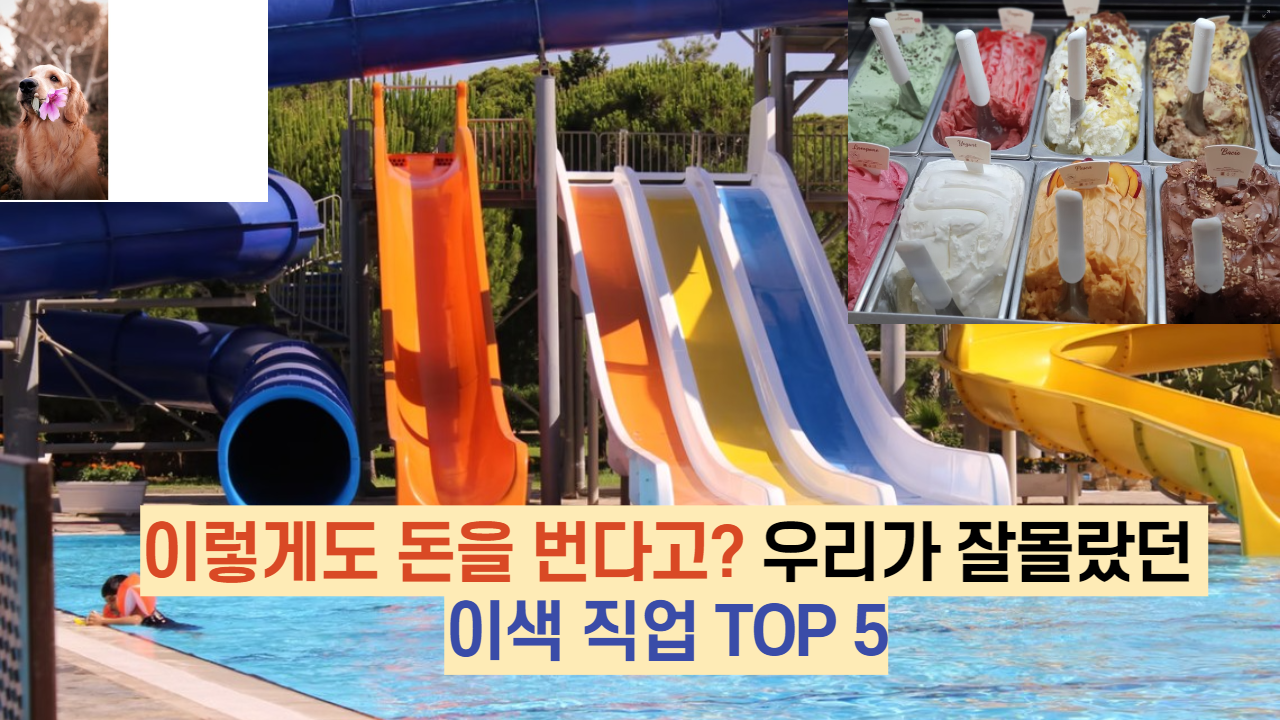  이렇게도 돈을 번다고? 우리가 잘몰랐던 이색 직업 TOP 5