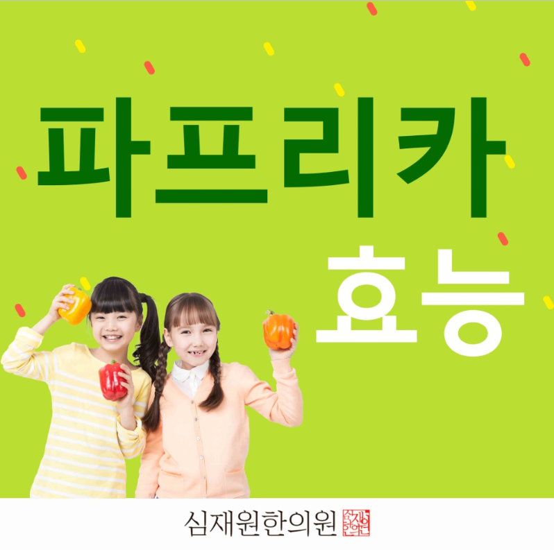  파프리카 효능 색깔별로 따로따