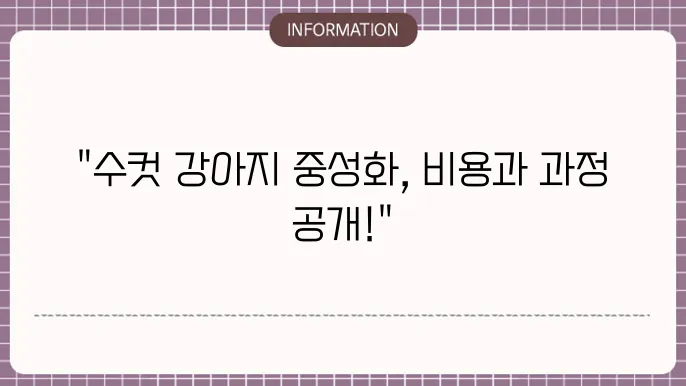 강아지 수컷중성화 수술비용 - 가격대와 과정
