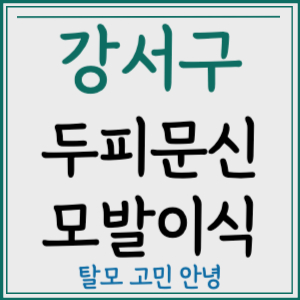 서울 강서구 두피문신 모발이식